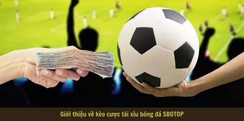 Giới thiệu về kèo tài xỉu bóng đá SBOTOP