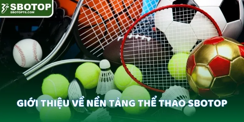 Giới thiệu về nền tảng thể thao SBOTOP
