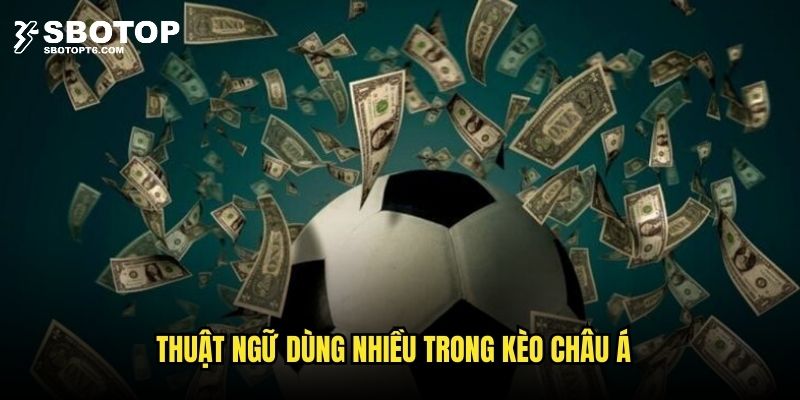 Những thuật ngữ được giải trình cụ thể trong bài đọc