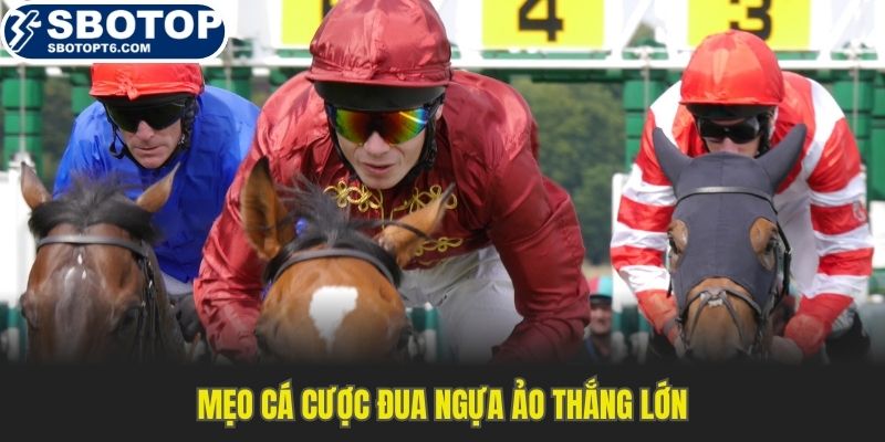 Mẹo cá cược đua ngựa ảo thắng lớn tại SBOTOP