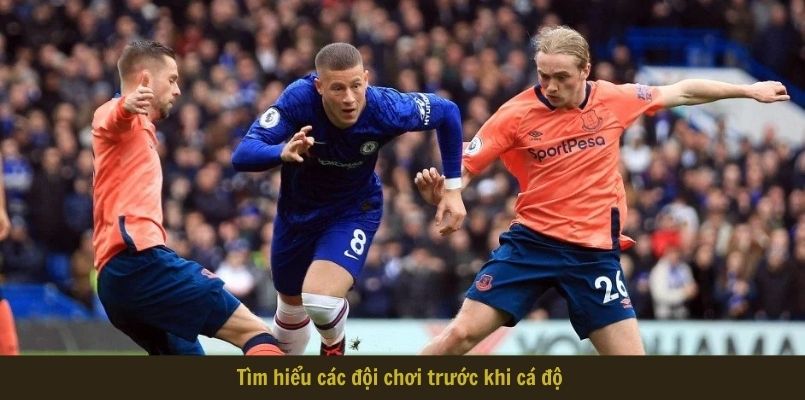 Tìm hiểu các đội chơi trước khi cá độ